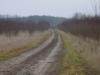 Kliknij by wejść dsc07933_t1.jpg