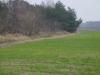 Kliknij by wejść dsc07939_t1.jpg