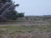 Kliknij by wejść dsc07945_t1.jpg